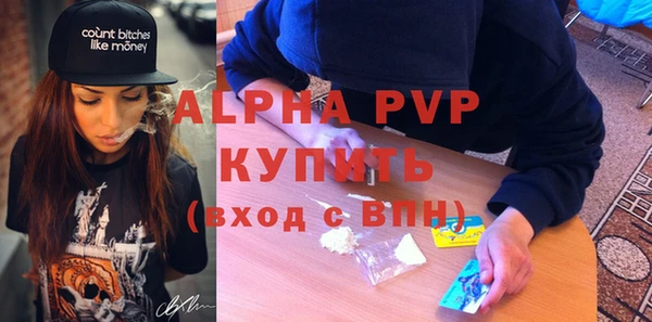 Альфа ПВП Бородино