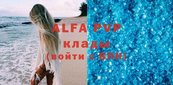 spice Богданович