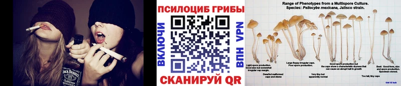 Галлюциногенные грибы прущие грибы  Касли 